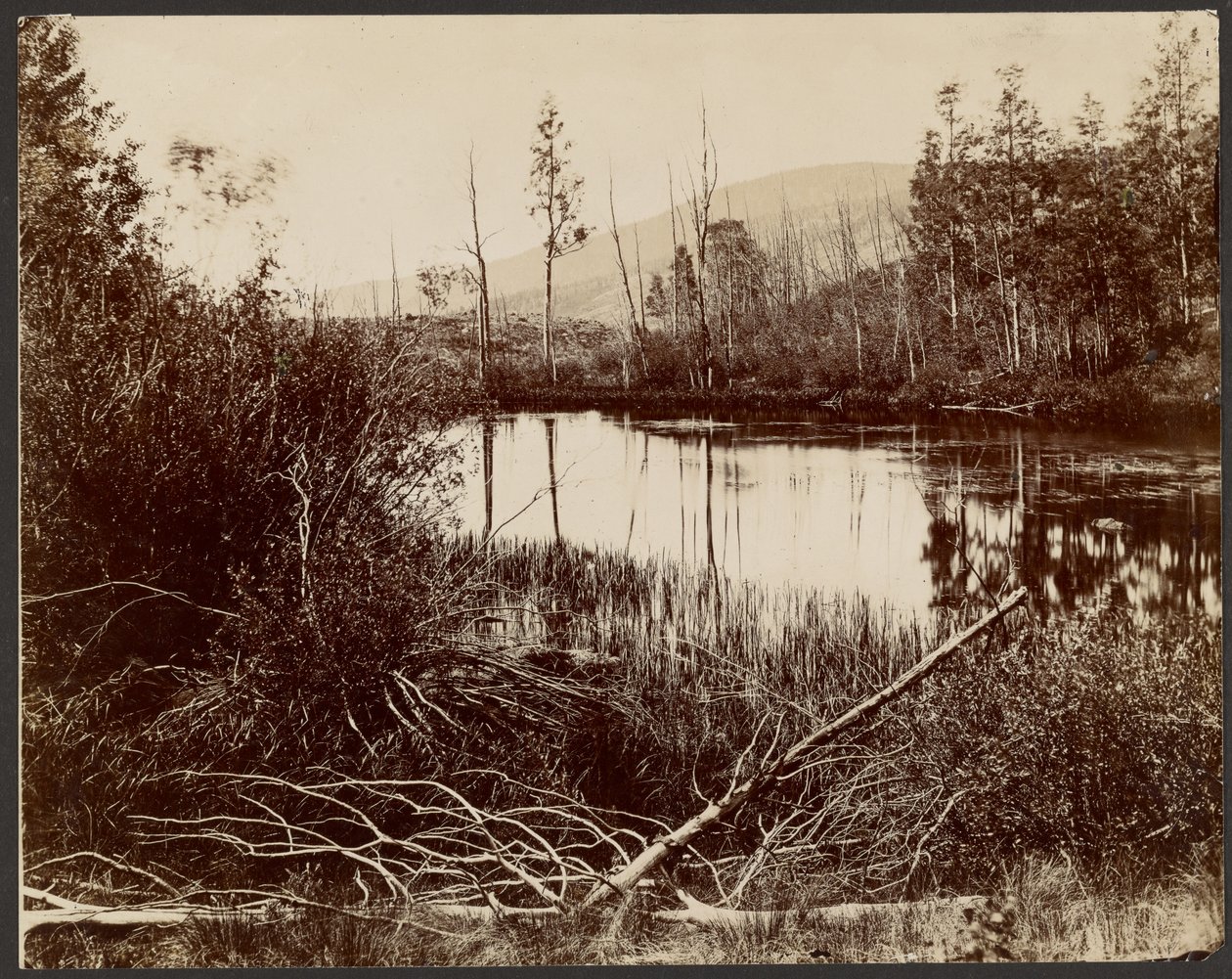 Morain Lake, Aquarius PLateau tekijältä John K. Hillers