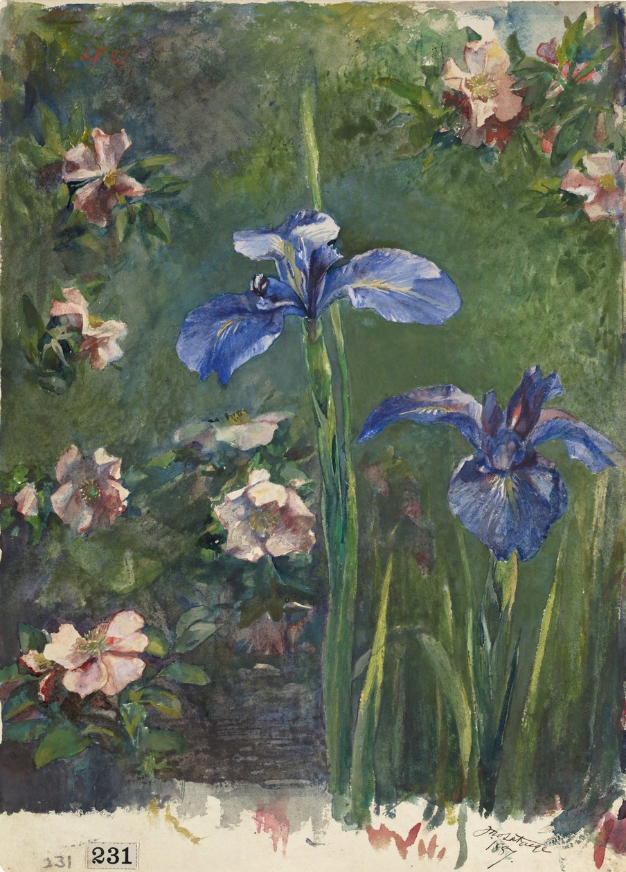 Villit ruusut ja iirikset, 1887. tekijältä John La Farge