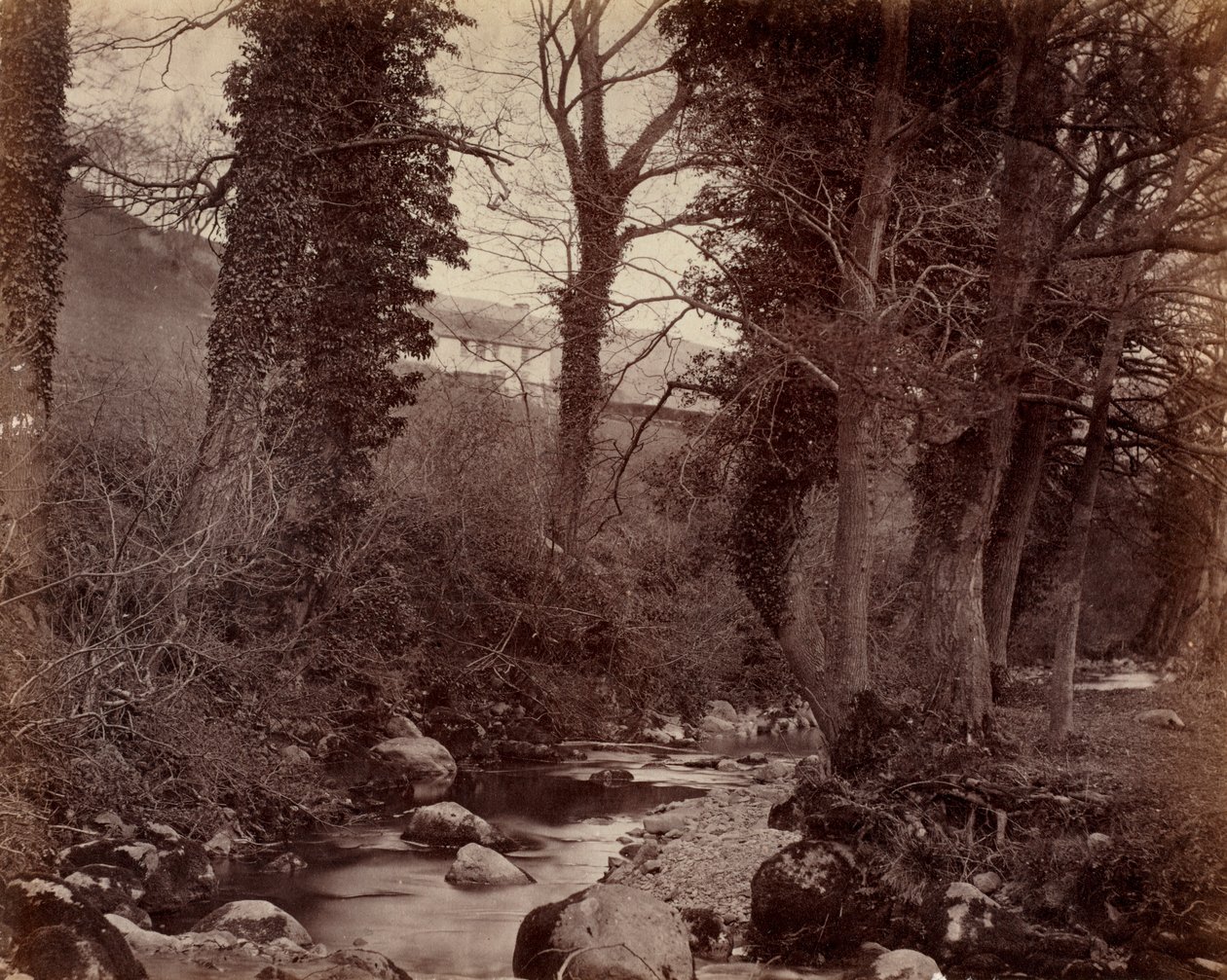 Nimetön, c. 1859. tekijältä John Lloyd