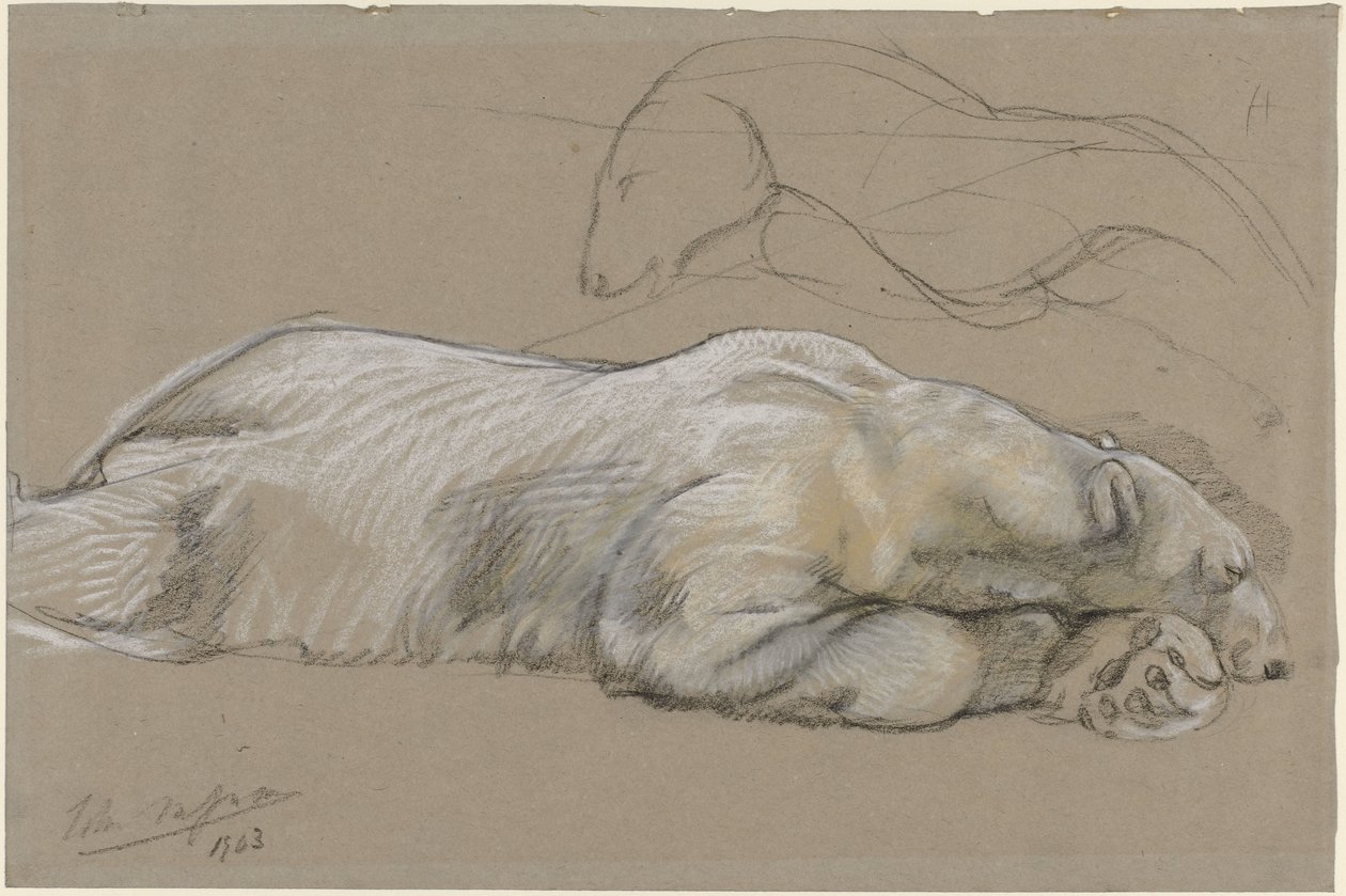 Makaavan jääkarhun tutkimukset tekijältä John Macallan Swan