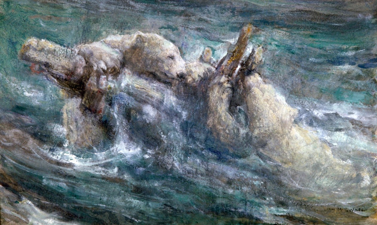 "Hylky", c1867-1910. tekijältä John Macallan Swan