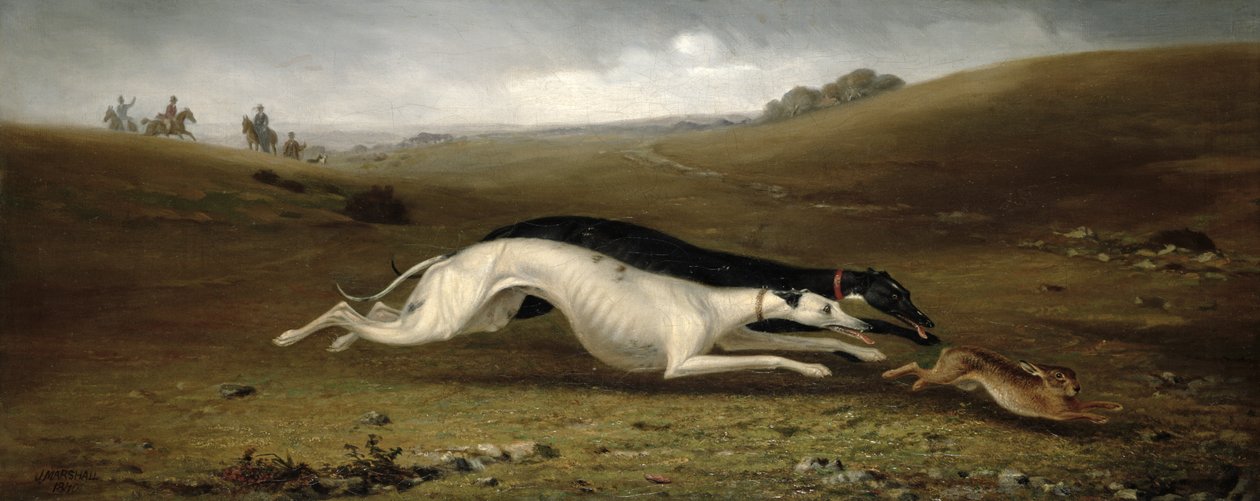Jäniksen juoksua maisemassa, 1870 tekijältä John Marshall