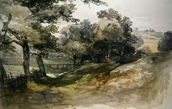 Shady Lane, Tunbridge Wells tekijältä John Middleton