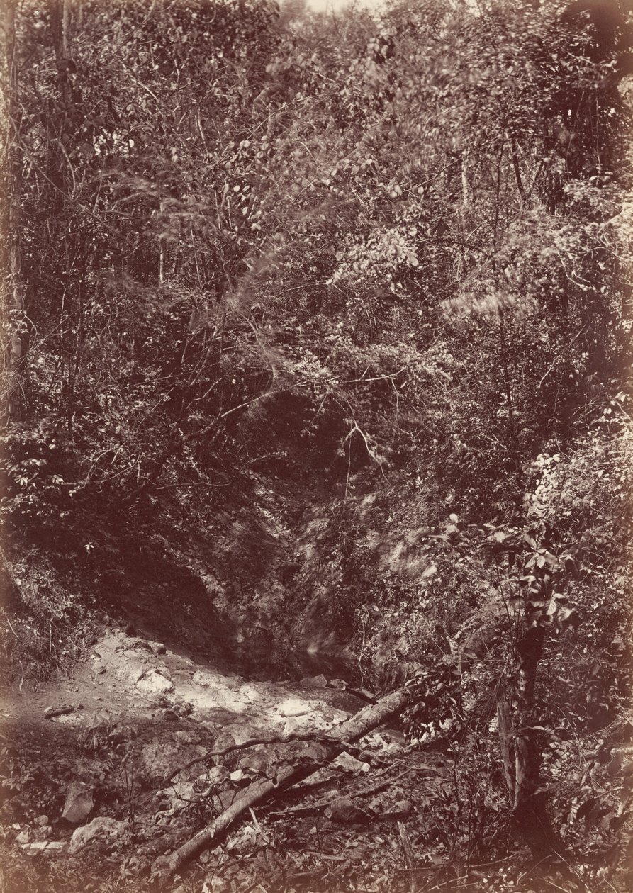 Darienin retkikunta, 1871 (kuva) tekijältä John Moran