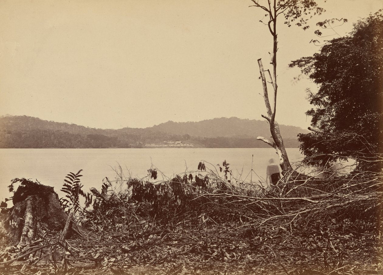 Darienin satama, Chipigana,1871 (kuva) tekijältä John Moran