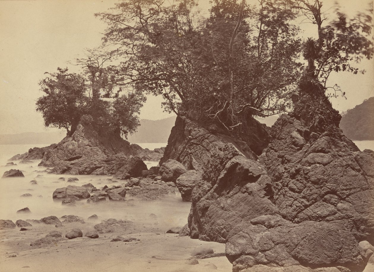 Saaret, Limon Bay,1871 (kuva) tekijältä John Moran