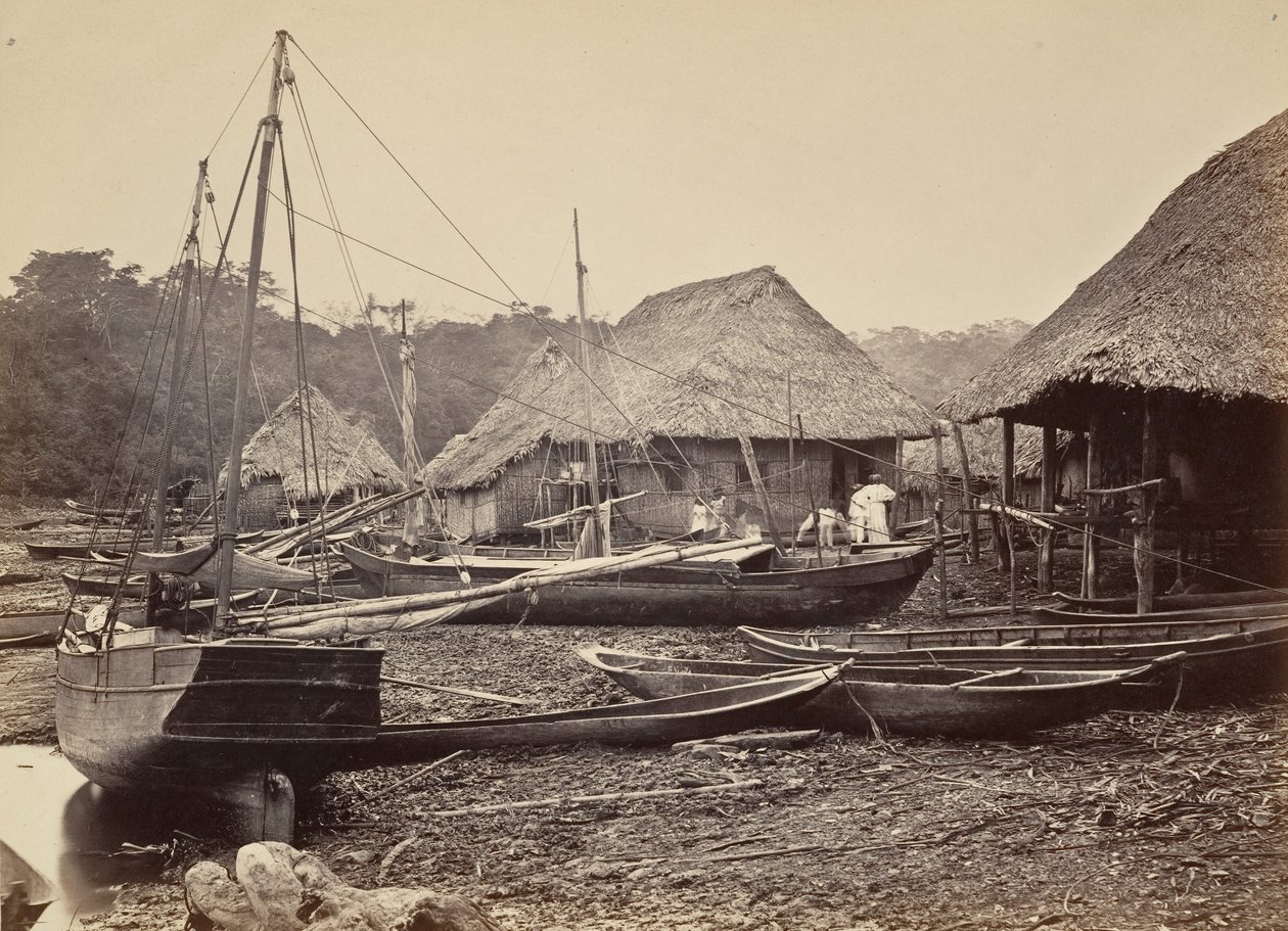 Trooppinen maisema, laskeutuminen, Chipigana, 1871. tekijältä John Moran