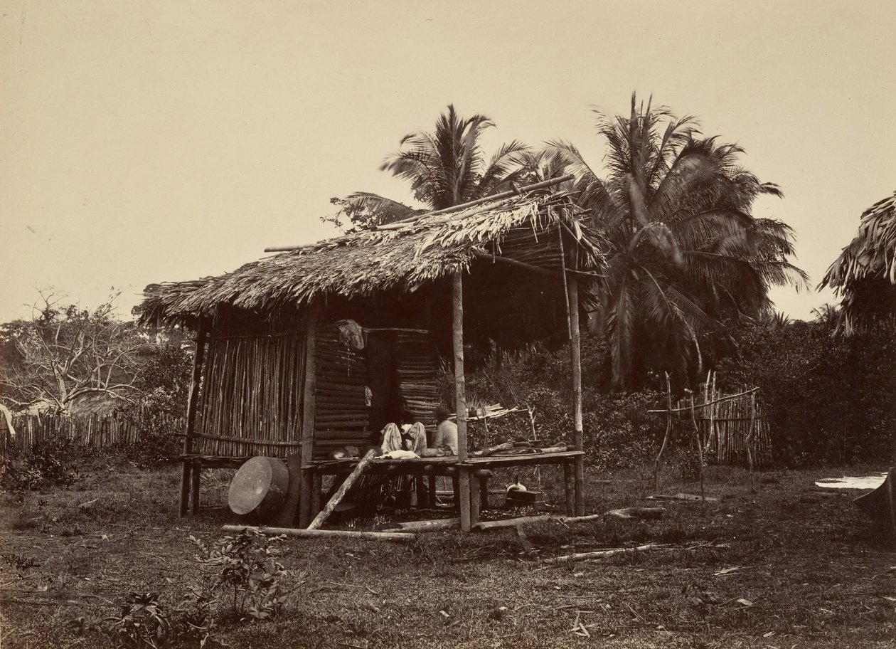 Trooppinen maisema, Native Hut, Turbo, 1871. tekijältä John Moran