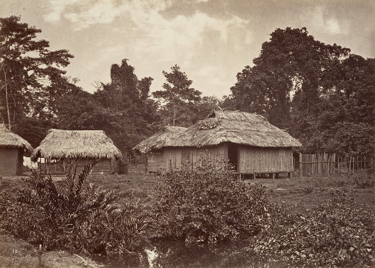 Trooppinen maisema, Turbo Village, 1871. tekijältä John Moran