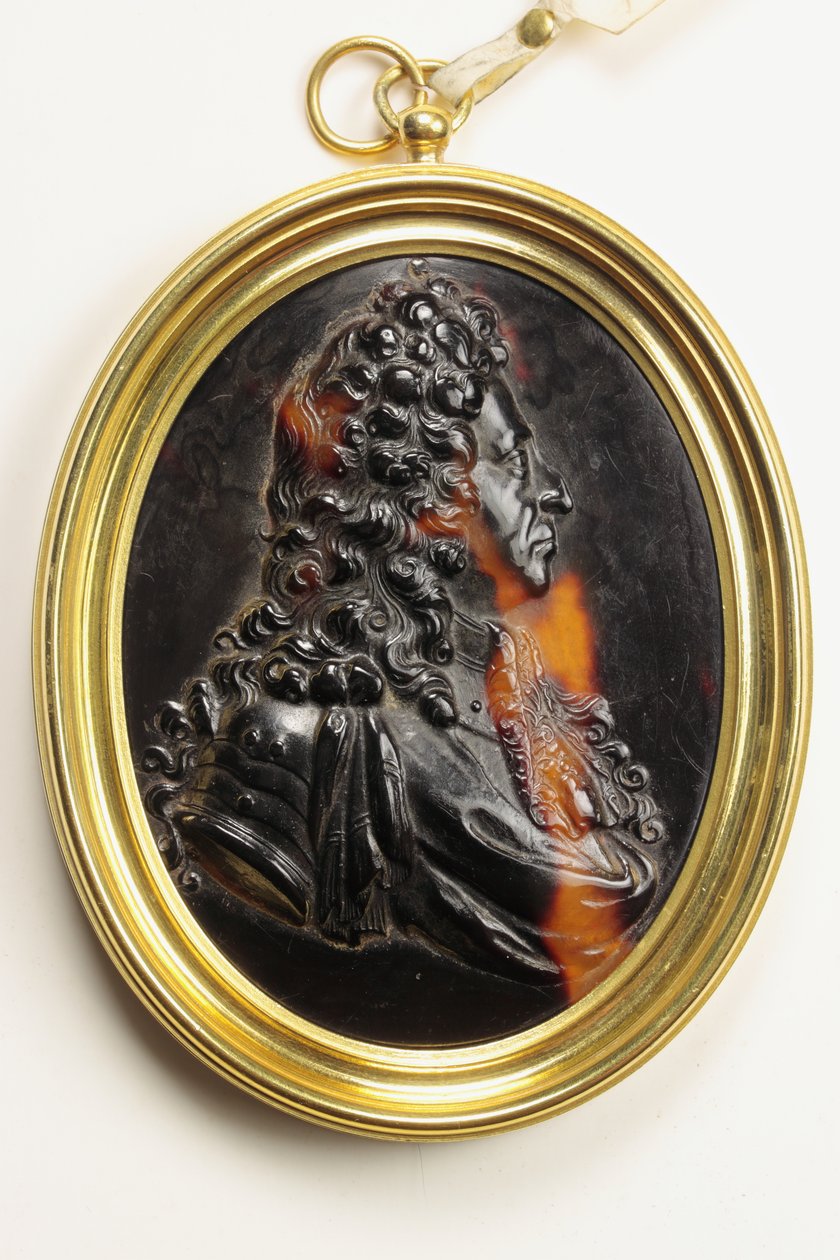 William III (kilpikonnankuori) tekijältä John Obrisset