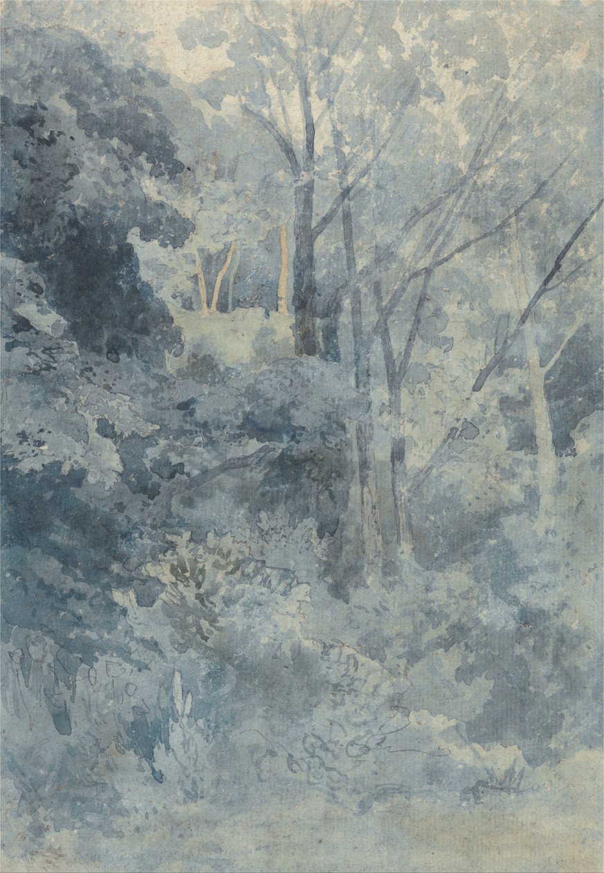 Rokeby Parkissa tekijältä John Sell Cotman