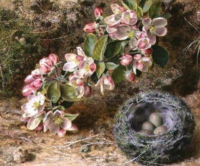 Blossom ja linnunpesä tekijältä John Sherrin