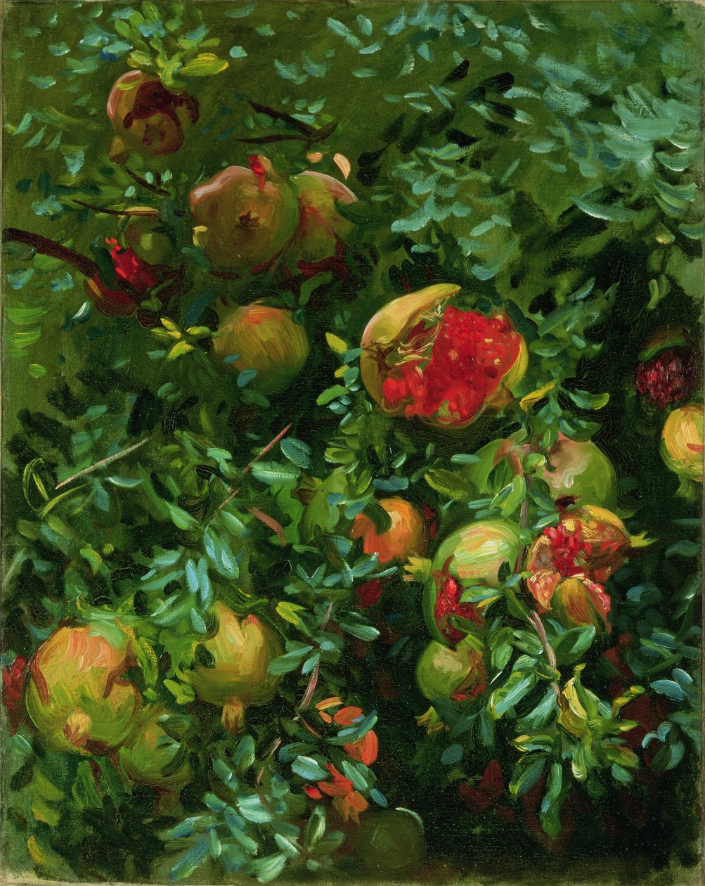 Granaattiomena, Mallorca, n. 1908 tekijältä John Singer Sargent