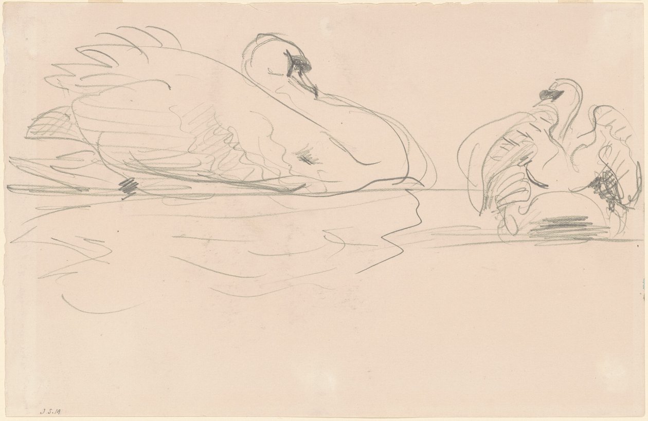 Joutsenet vedessä, 1880-1900. tekijältä John Singer Sargent