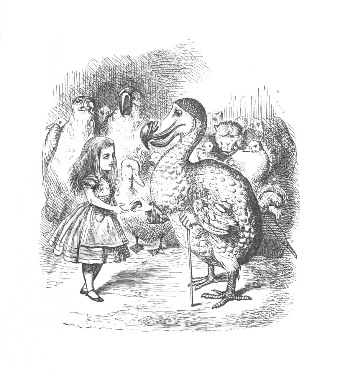 Liisa ja Dodo, 1889 tekijältä John Tenniel