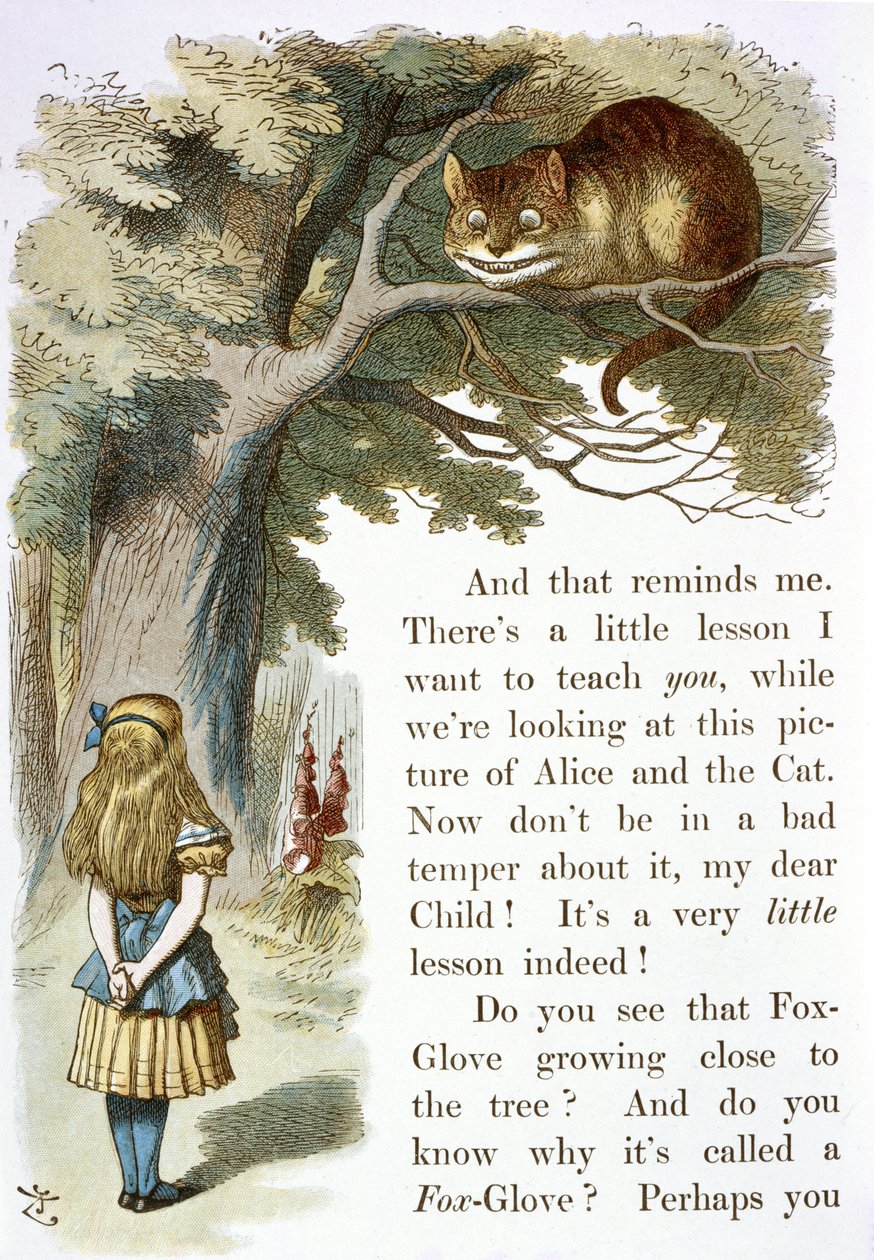 Cheshiren kissa tekijältä John Tenniel