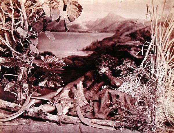 australialainen, n. 1874 (kuva) tekijältä John W. Lindt