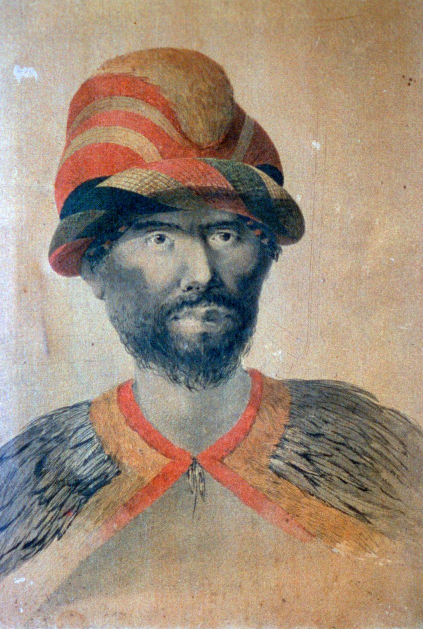 Havaiji, 1700-luku tekijältä John Webber