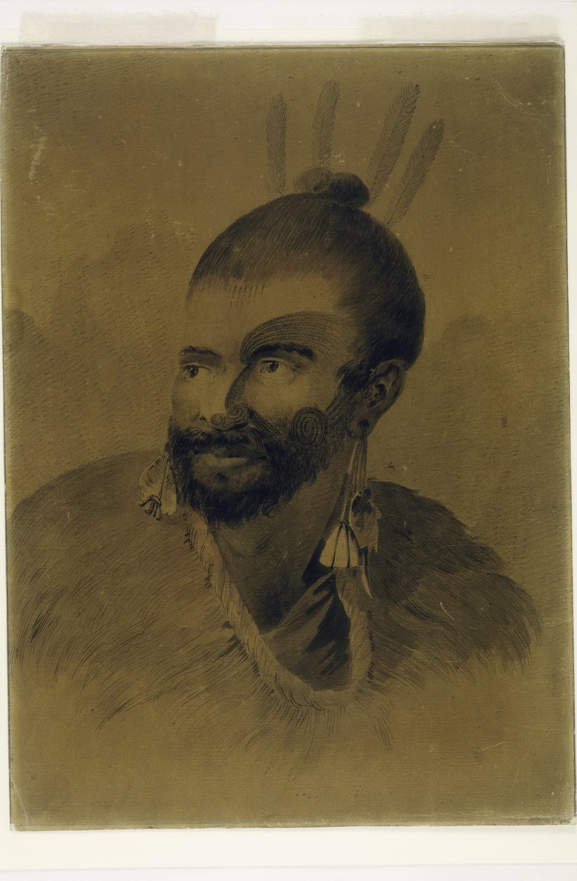 Uusiseelantilaisen muotokuva, n. 1777 tekijältä John Webber