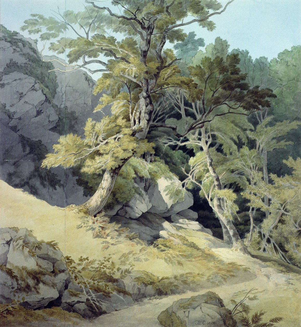 Canonteign, Devon tekijältä John White Abbott