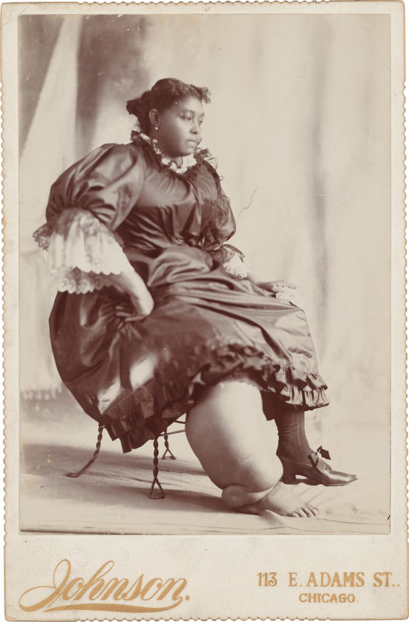 Naisen muotokuva,c. 1890 (kuva) tekijältä Johnson