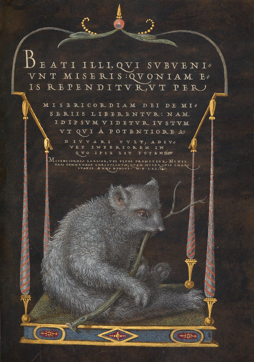Sloth tekijältä Joris Hoefnagel