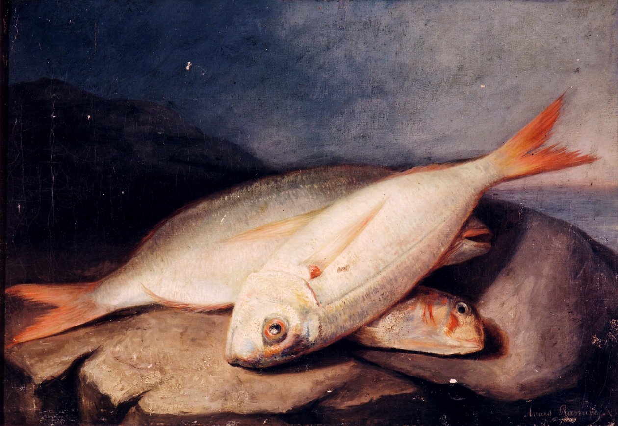 Espanja: Bodegón de peces tekijältä José Arias Ramírez