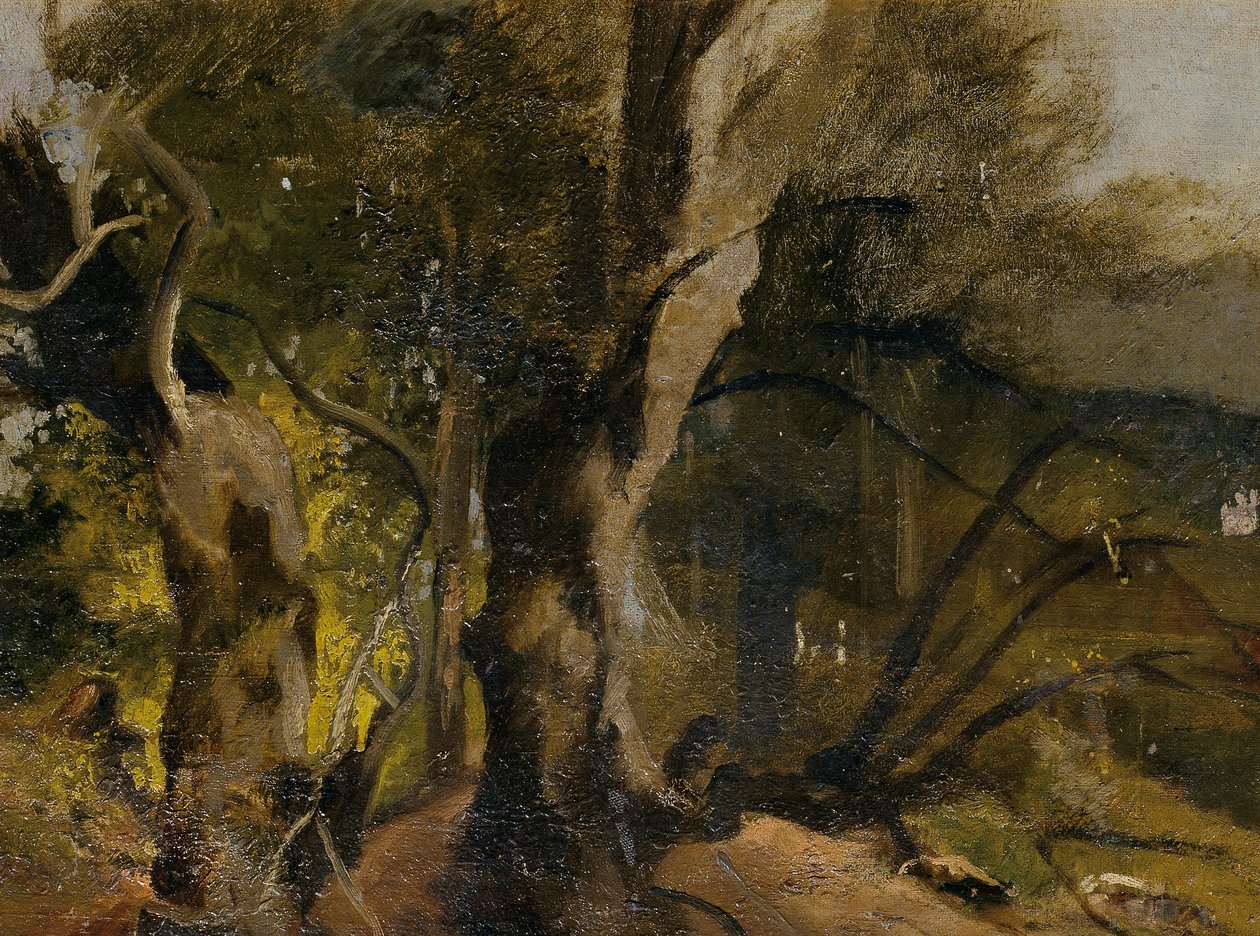 Waldstudie tekijältä Josef Navrátil