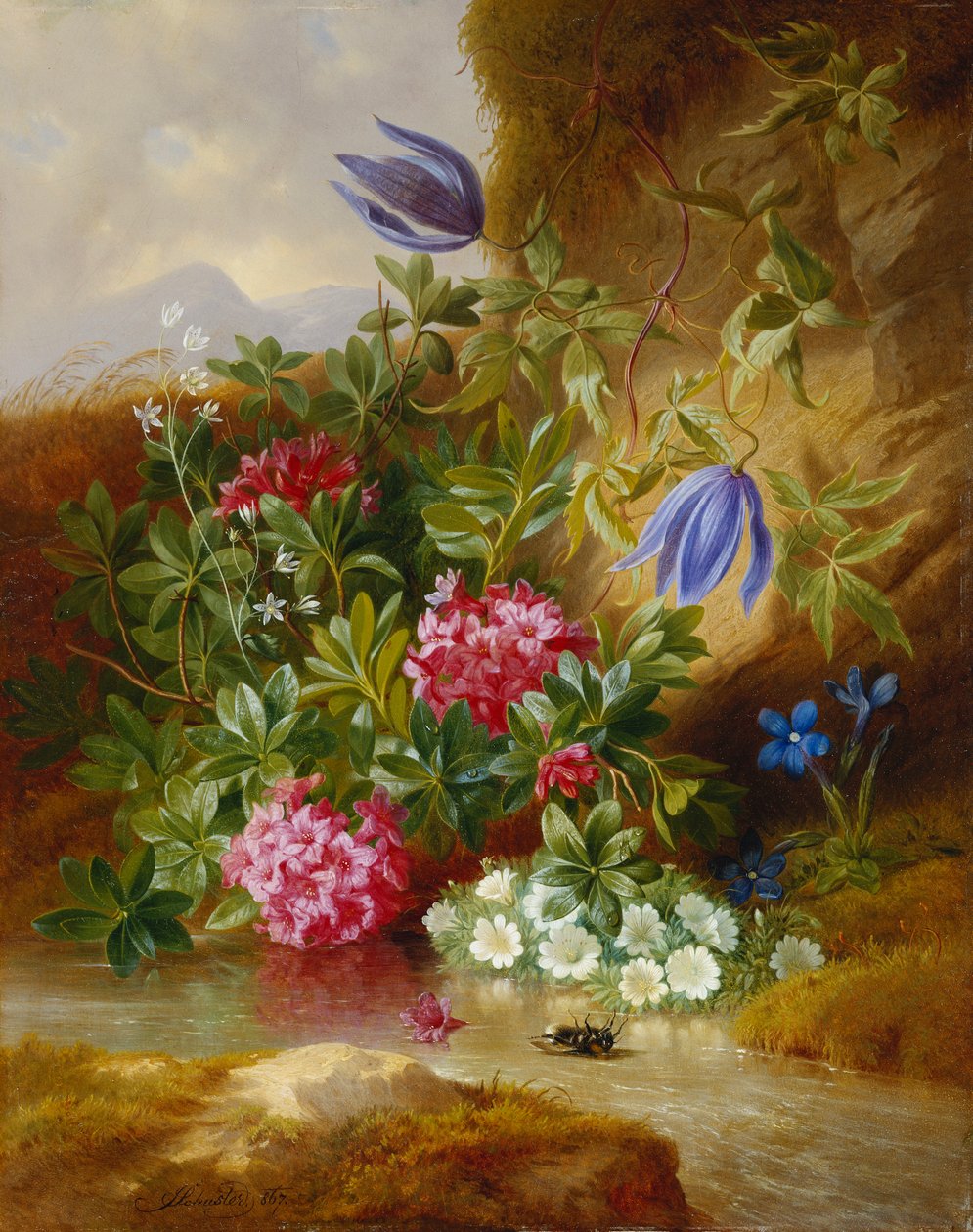 Alpenblum, tekijältä Josef Schuster