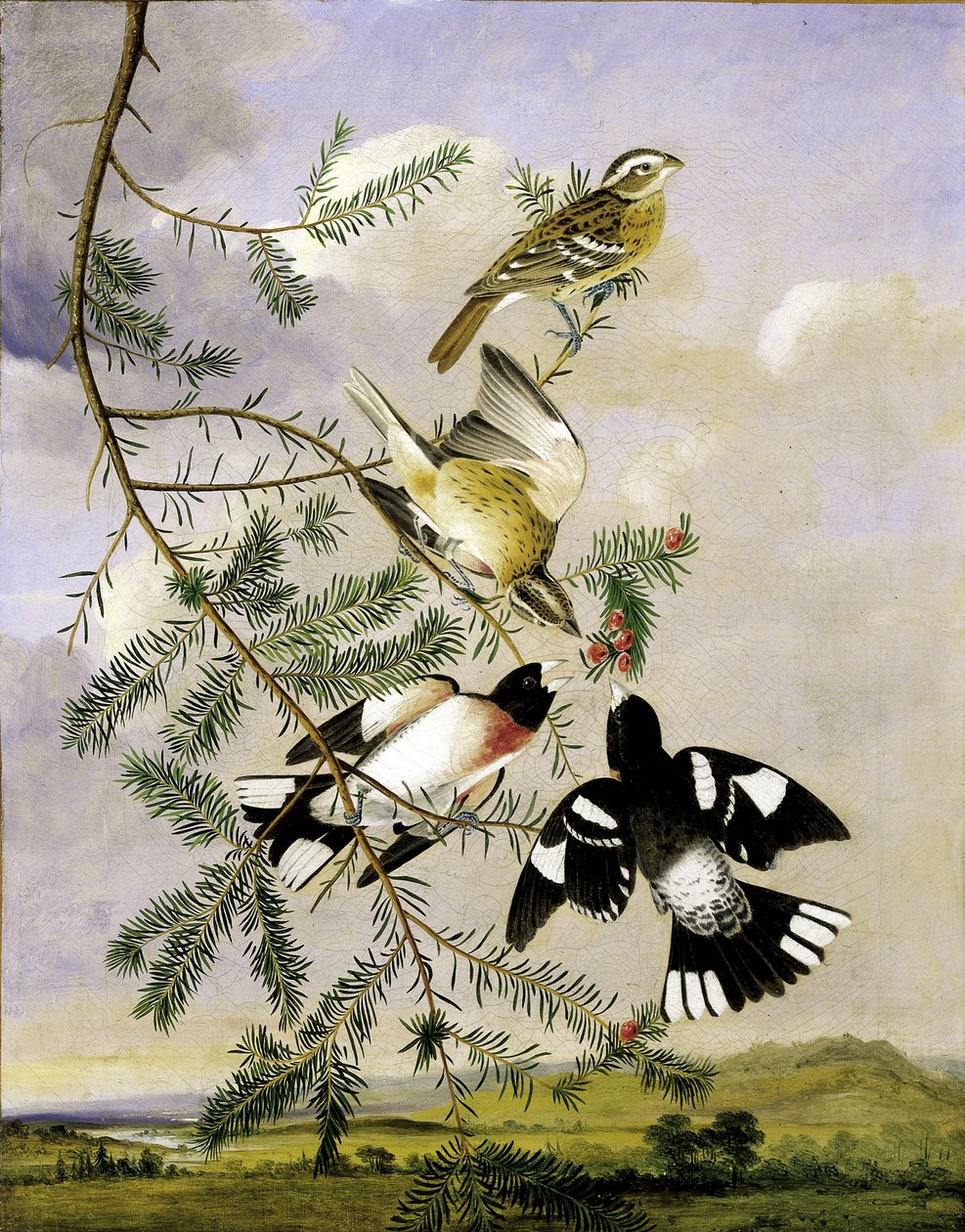 Ruusurintapikka, 1800-luvun puoliväli. tekijältä Joseph Bartholomew Kidd