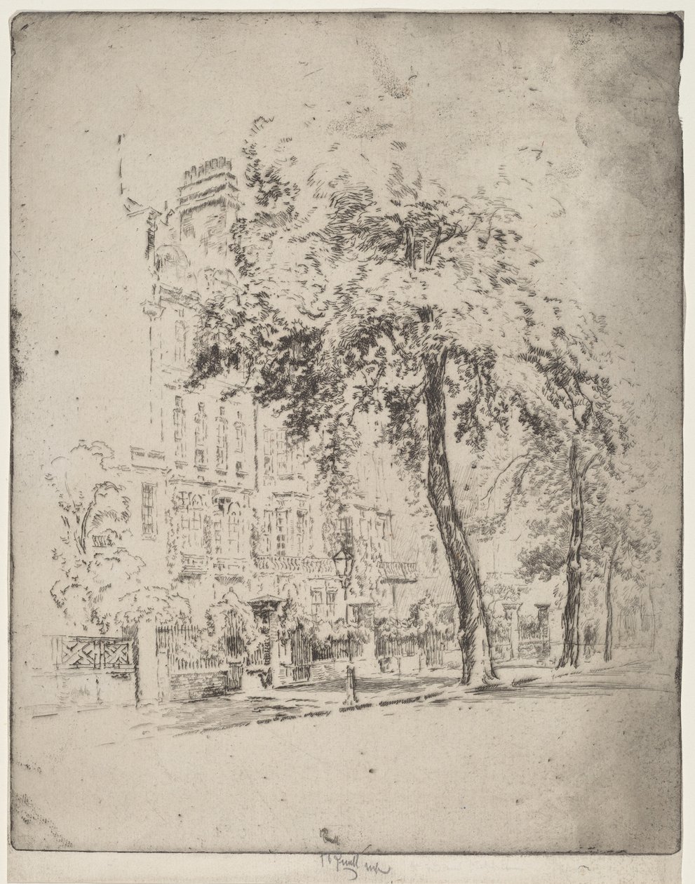 Iso puu, Cheyne Walk tekijältä Joseph Pennell