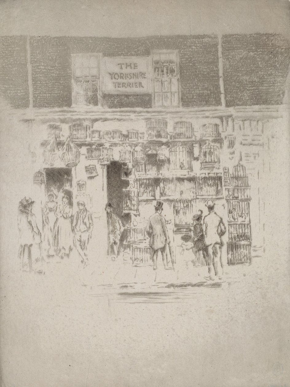 Yorkshirenterrieri, 1903. tekijältä Joseph Pennell