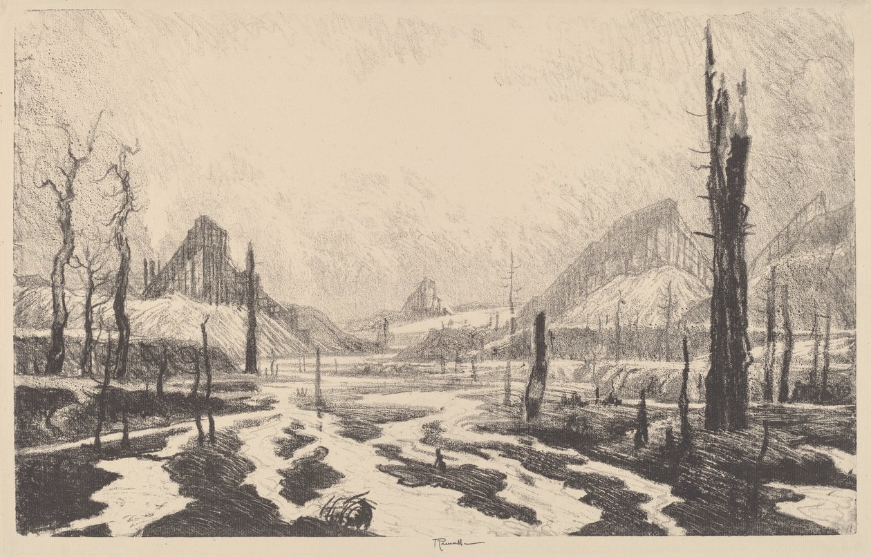 Laakso Desolation tekijältä Joseph Pennell