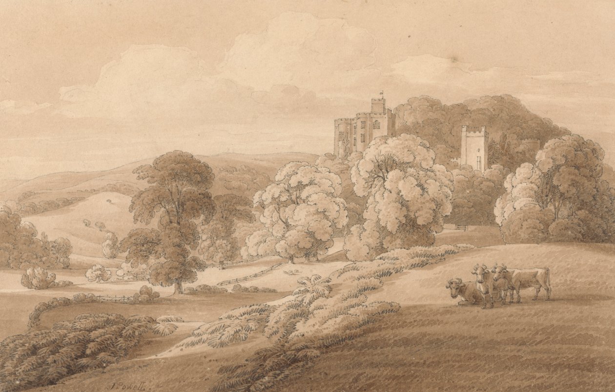 Dunsterin linna, Somerset tekijältä Joseph Powell