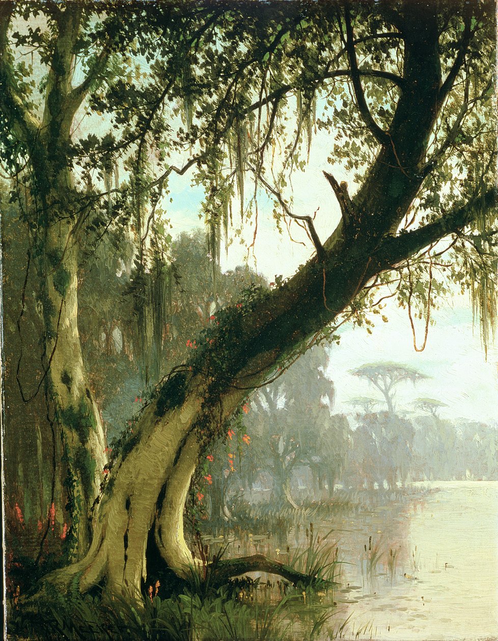 Bayoussa tekijältä Joseph Rusling Meeker
