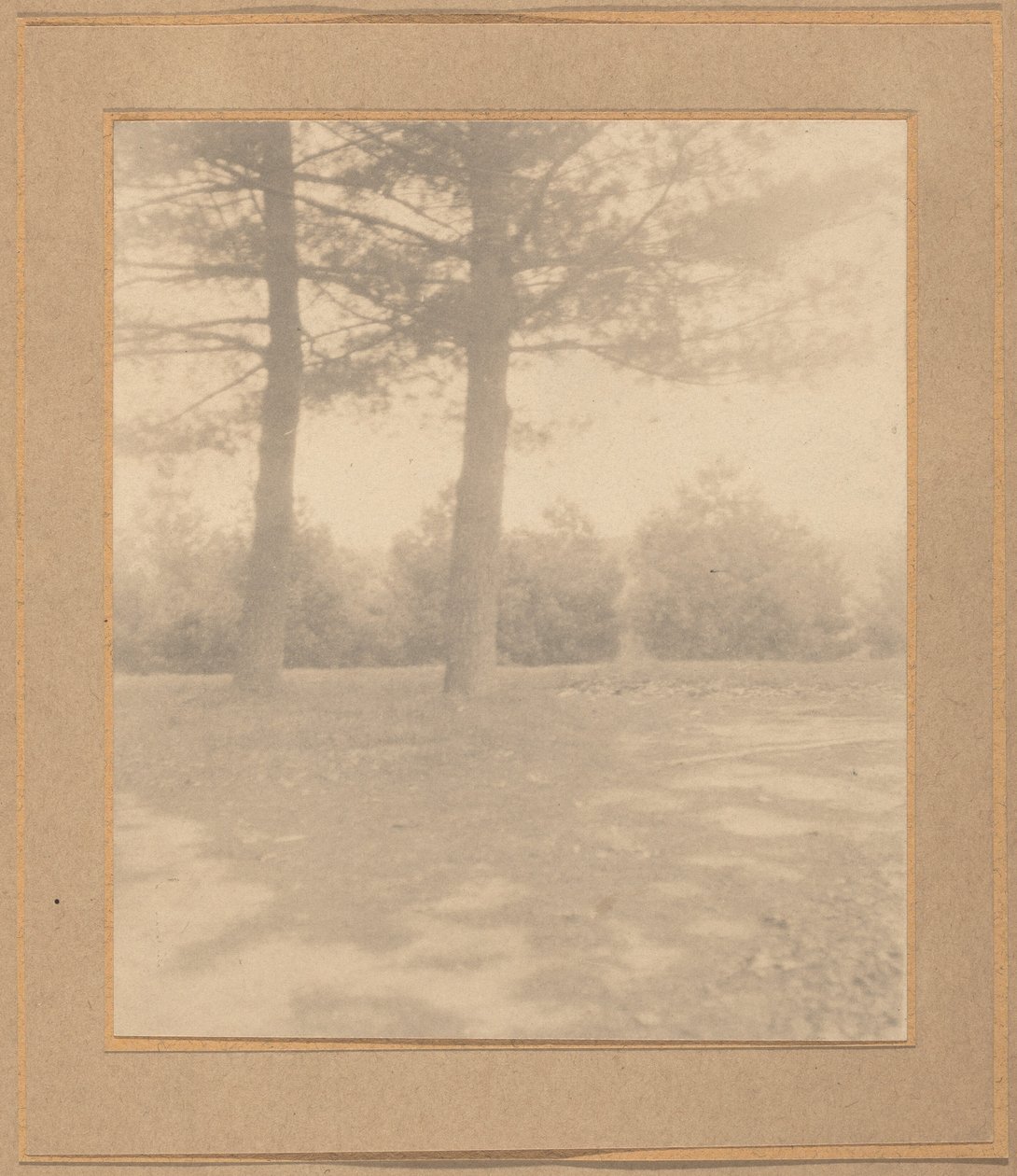 Maisema puiden kanssa, c. 1900. tekijältä Joseph Turner Keiley