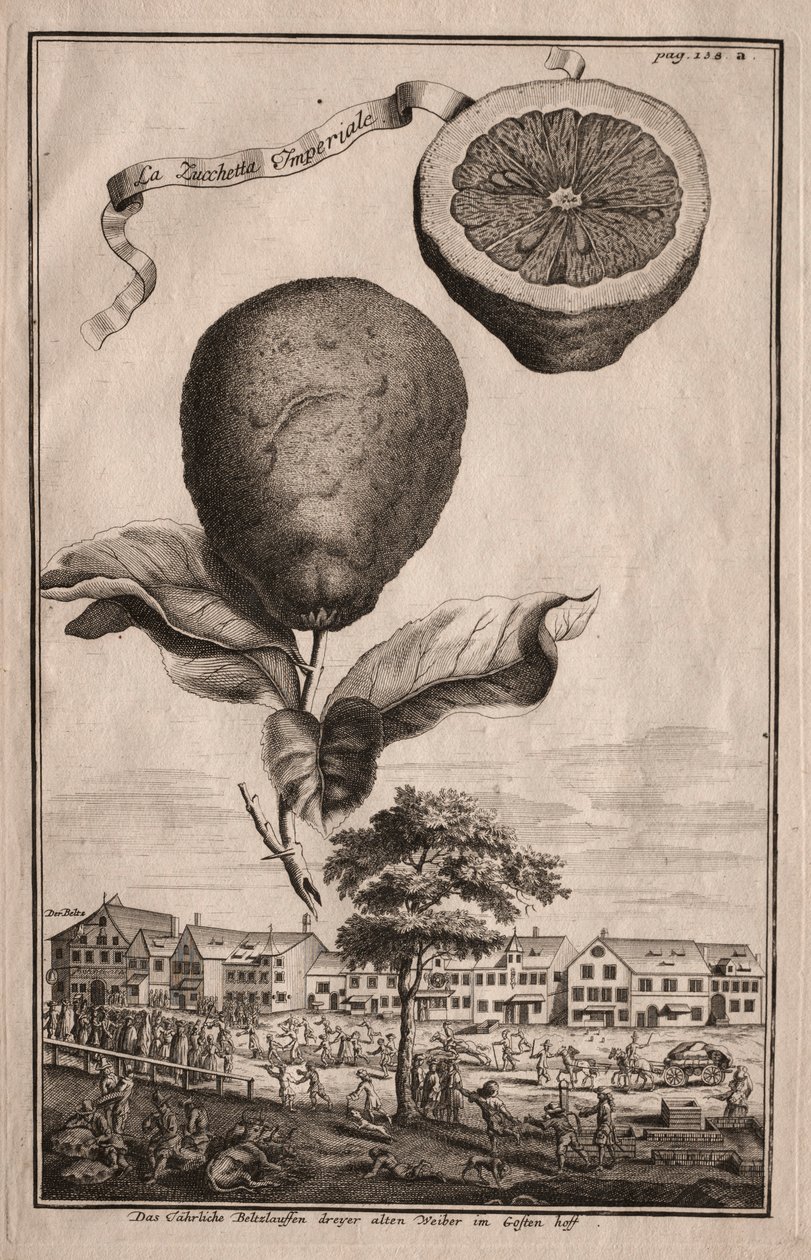 Nurnbergische Hesperides: La Luchetta Imperiale, 1714. tekijältä Joseph de Montalegre