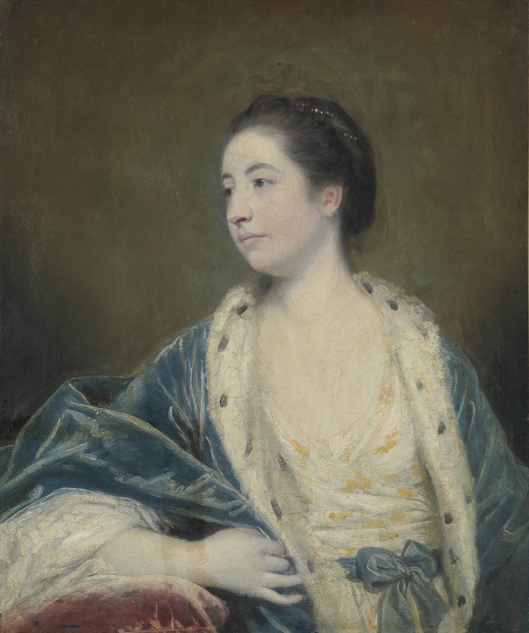 Naisen muotokuva. tekijältä Joshua Reynolds