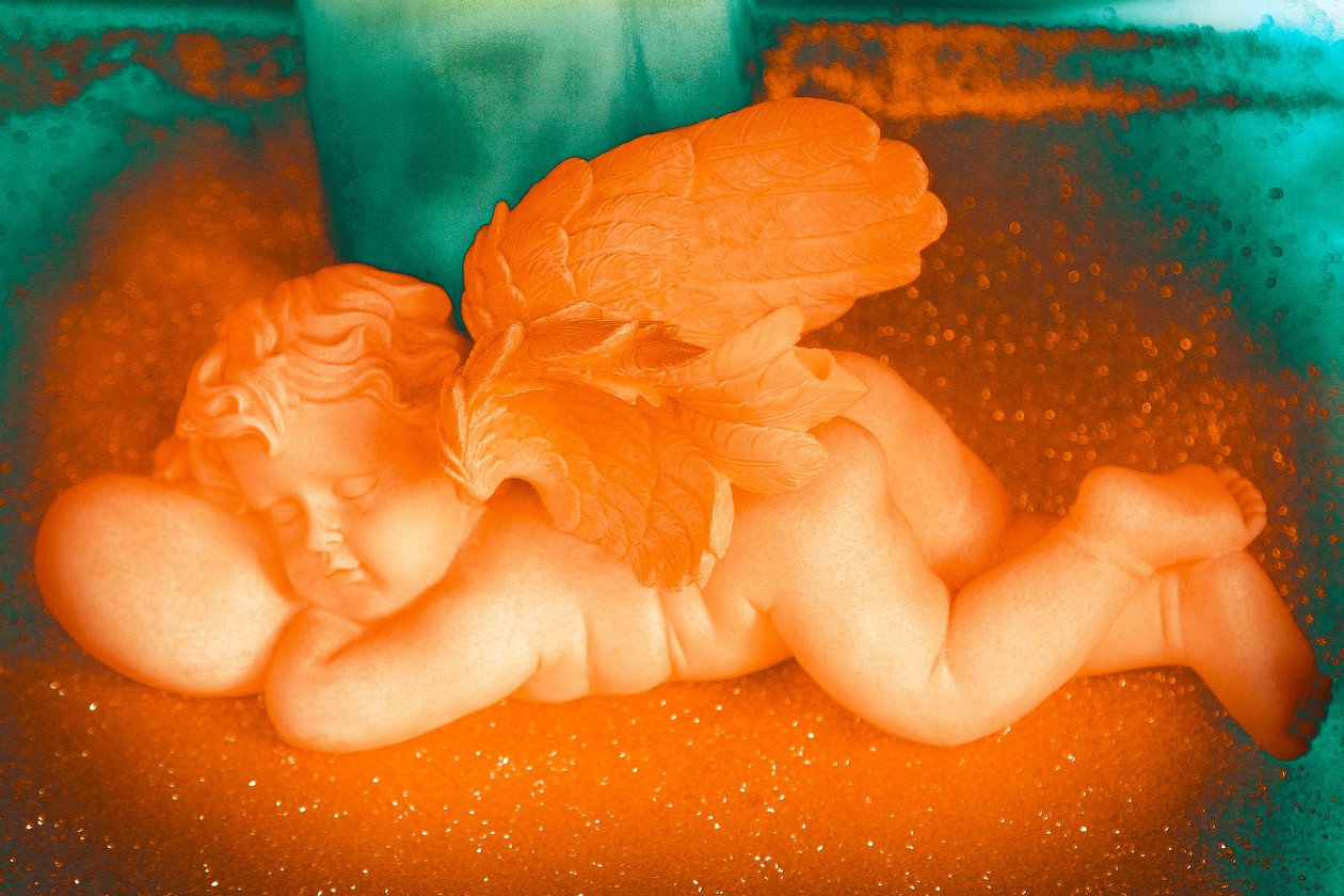 Golden Cherub, 2016 (valokuva) tekijältä Joy Lions