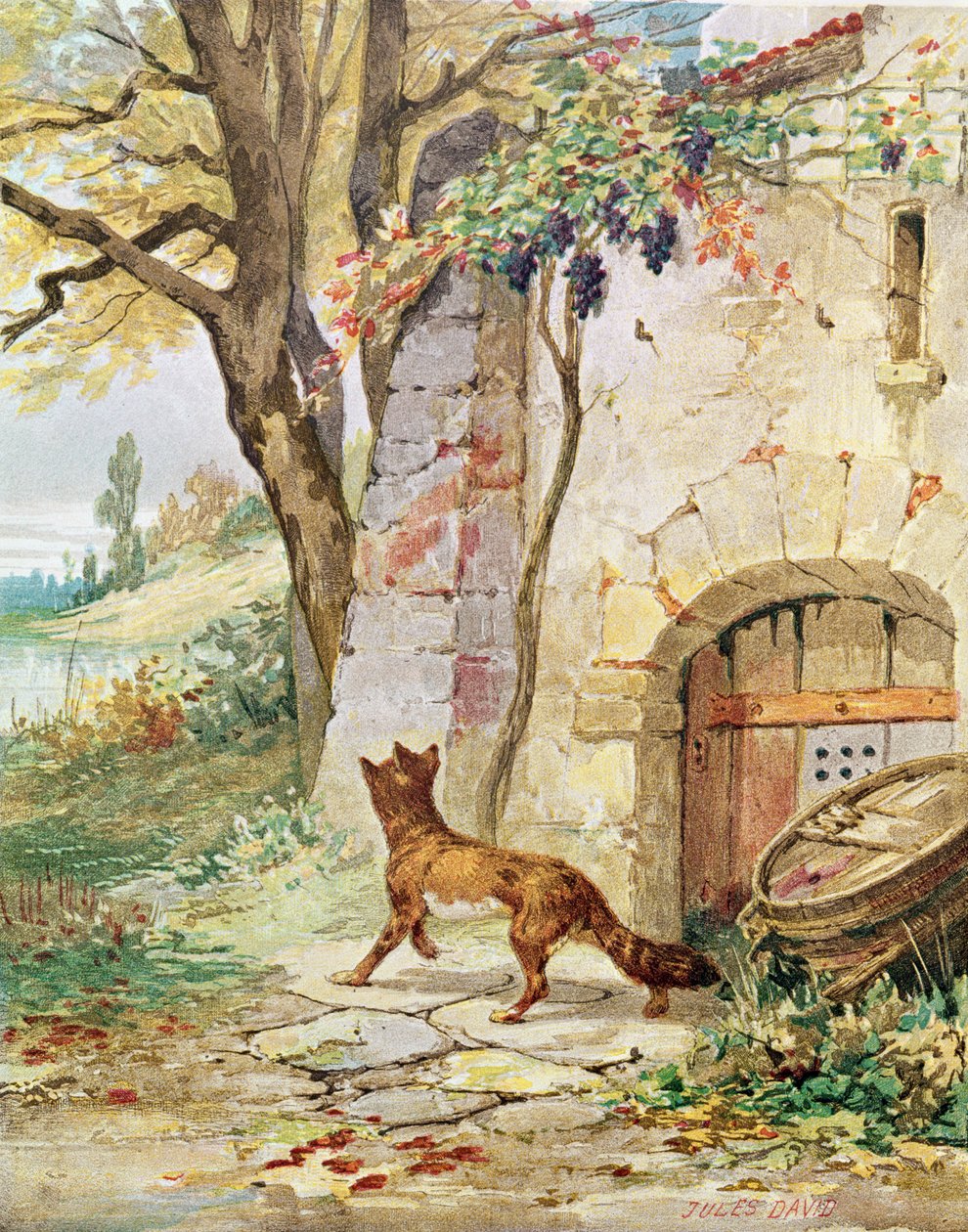 Kettu ja viinirypäleet, kuvitus Jean de La Fontainen (1621-95) "Fables" tekijältä Jules David