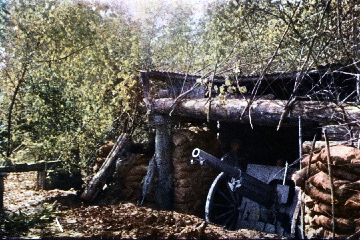 Naamioitu ranskalainen 75 mm ase puiden alla Verdunin taistelun aikana syyskuussa 1916 (autokromi) tekijältä Jules Gervais Courtellemont