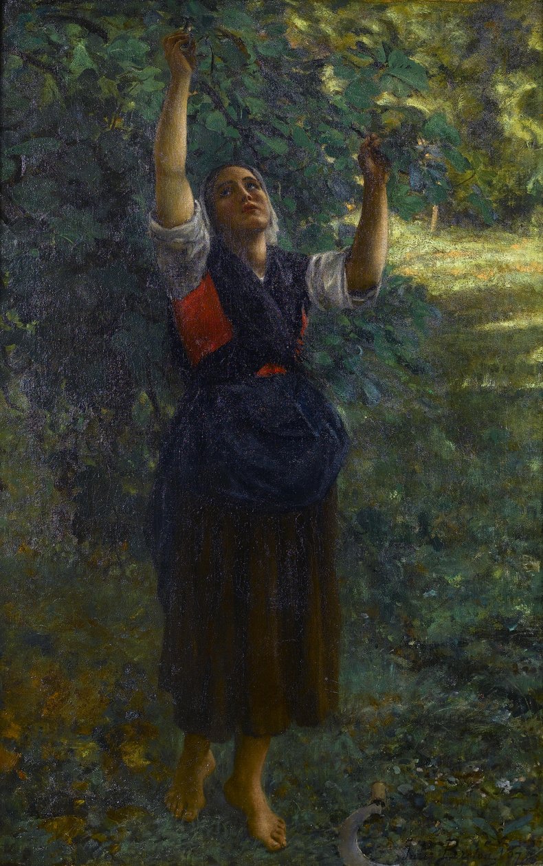 Ranska: Cueilleuse de figues tekijältä Jules Breton