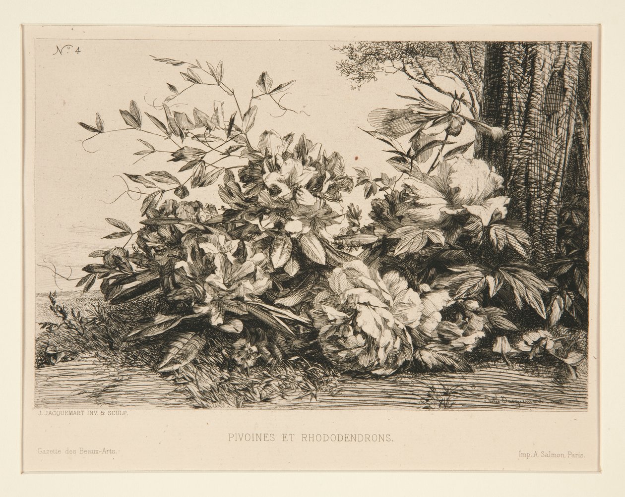 Pionit ja Rhododendronit tekijältä Jules Ferdinand Jacquemart