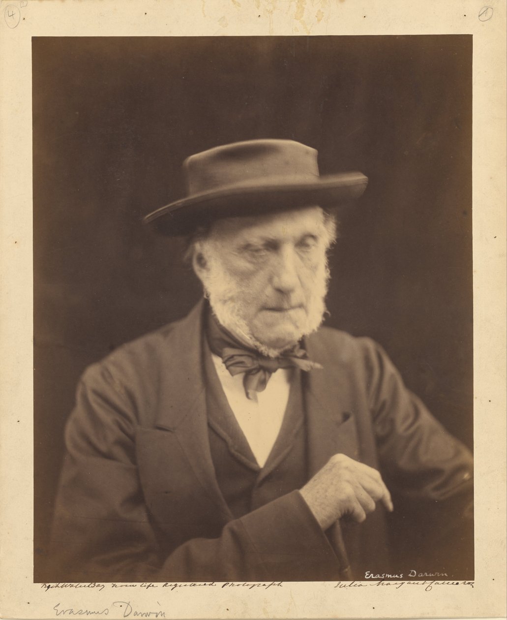 (Erasmus Darwin) tekijältä Julia Margaret Cameron