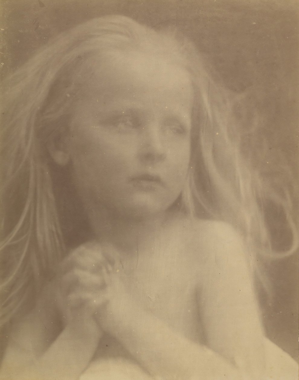 Ihana luonnos, 1873. tekijältä Julia Margaret Cameron