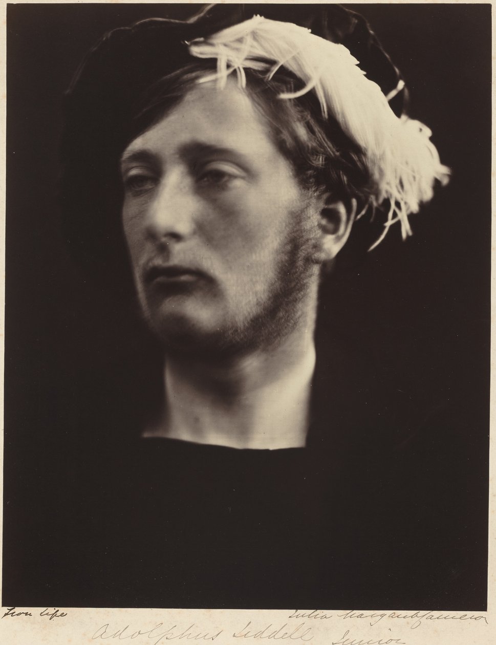 Adolphus Liddell, Junior tekijältä Julia Margaret Cameron
