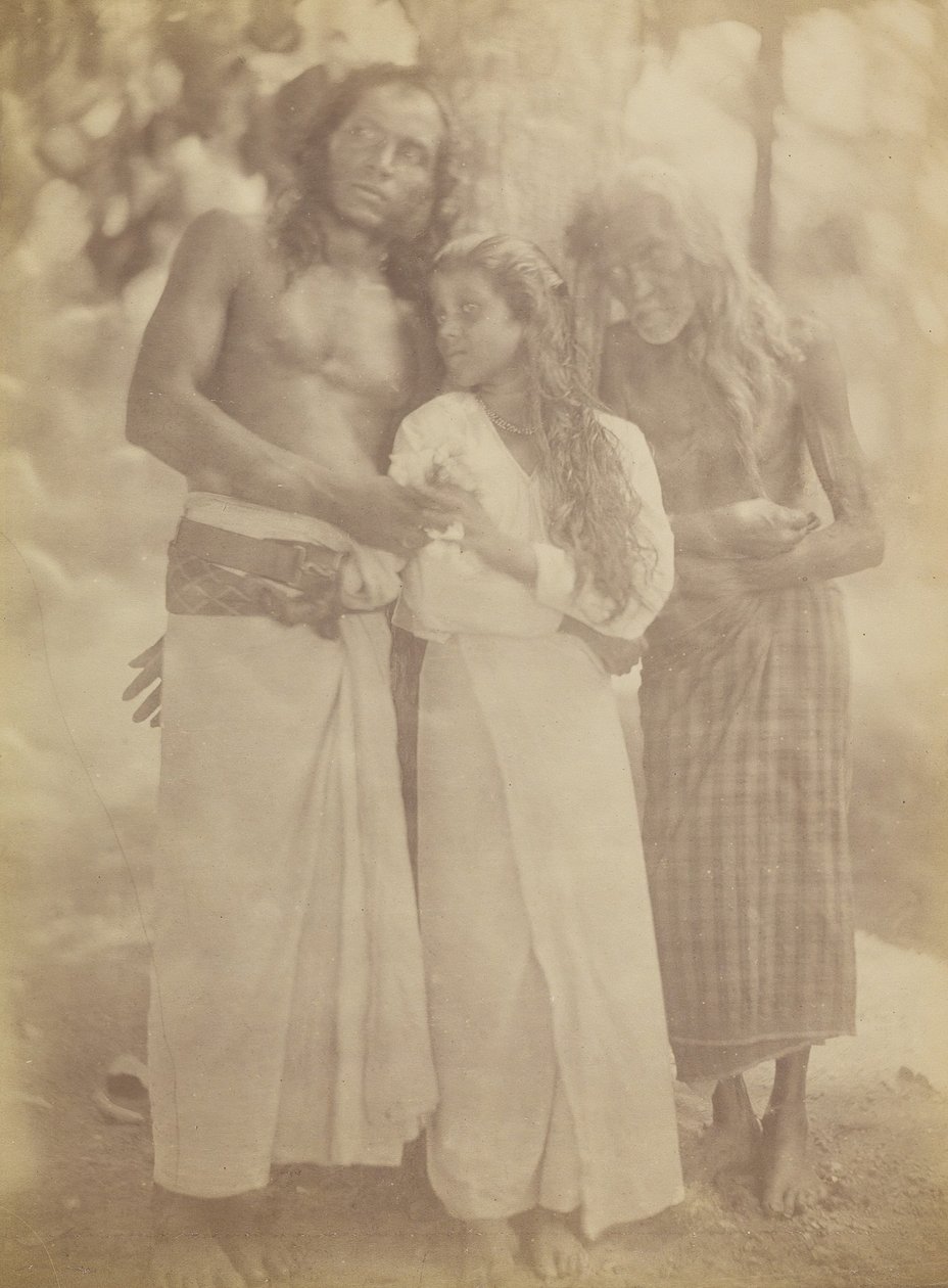 [Ceylonese Group by a Tree], 1878. tekijältä Julia Margaret Cameron