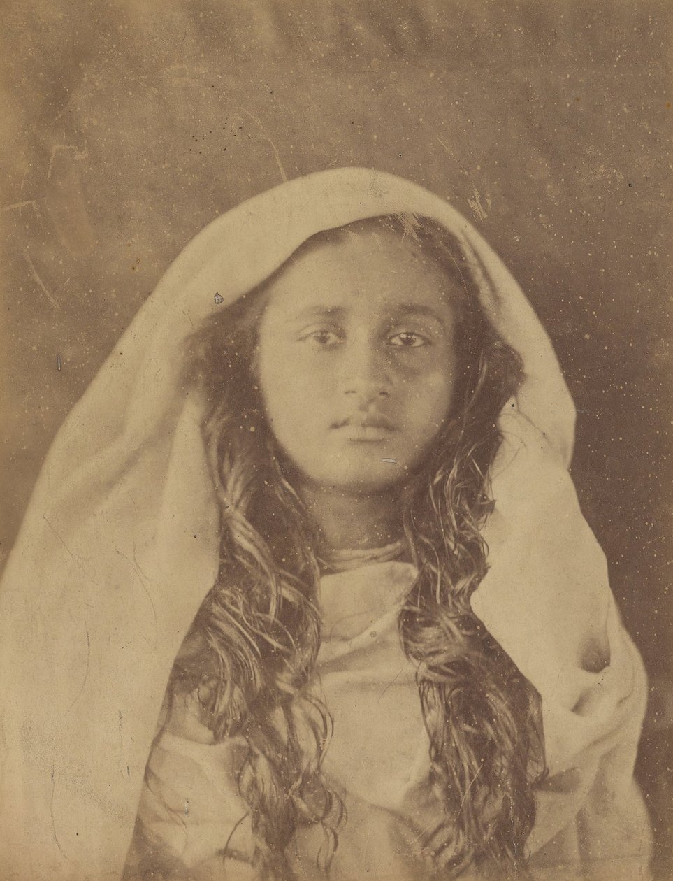 Ceylonin nainen, 1875-79. tekijältä Julia Margaret Cameron