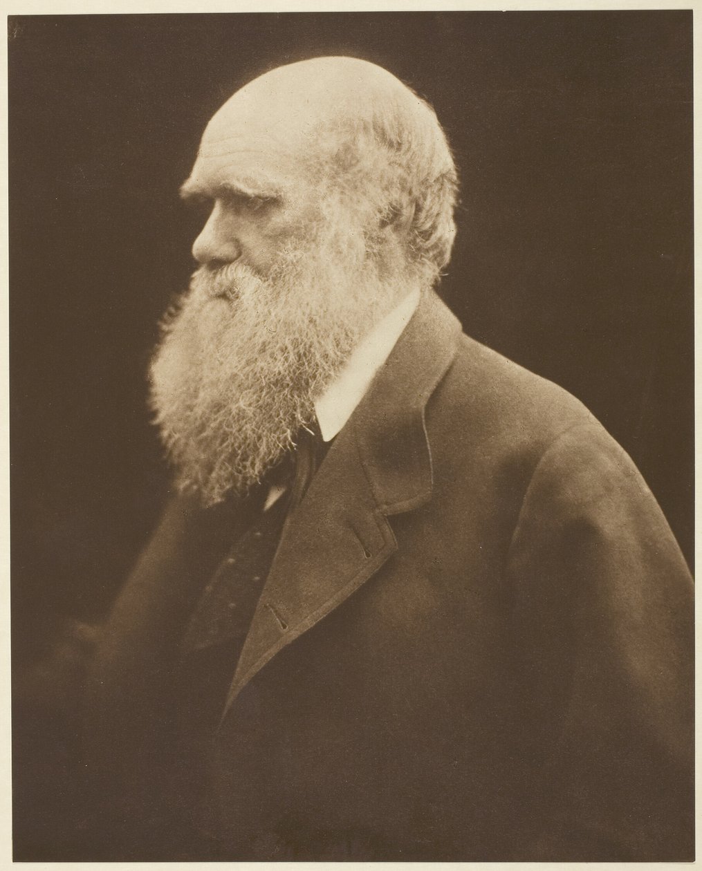Charles Darwin tekijältä Julia Margaret Cameron