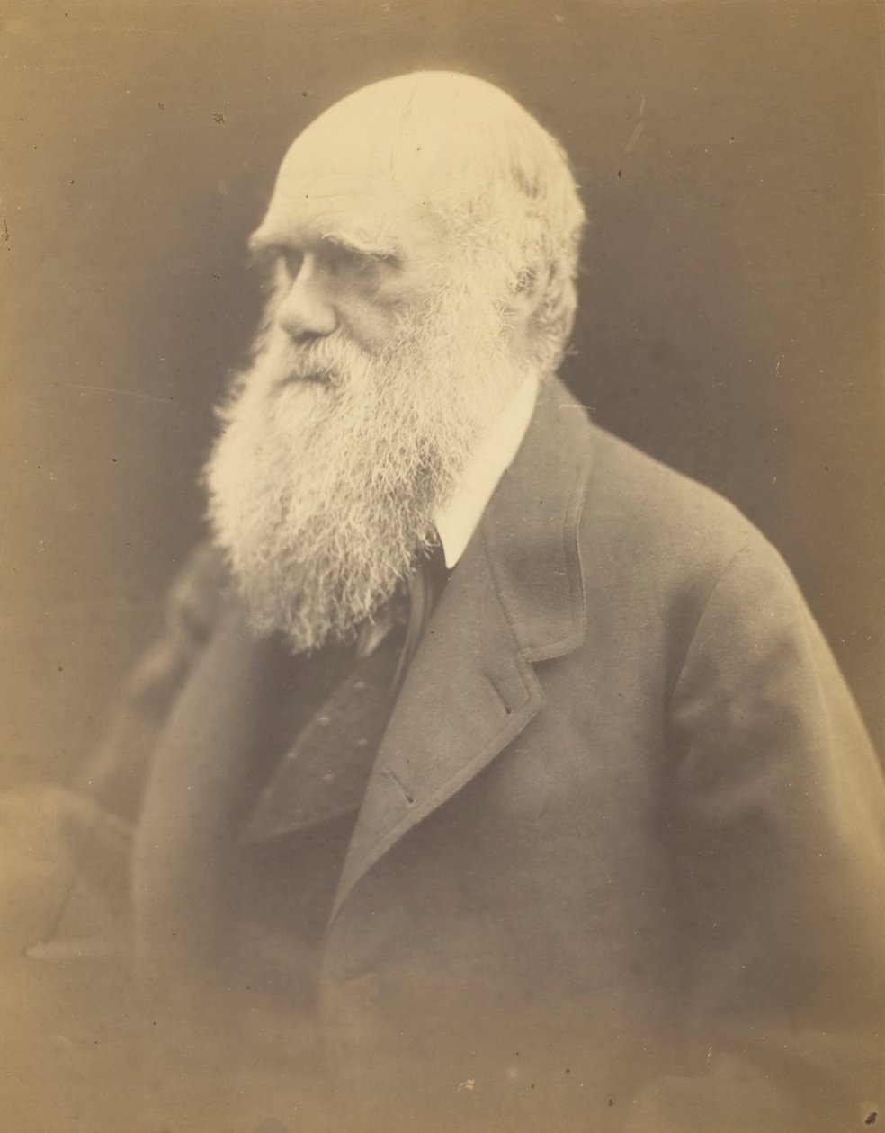 Charles Darwin, 1868. tekijältä Julia Margaret Cameron